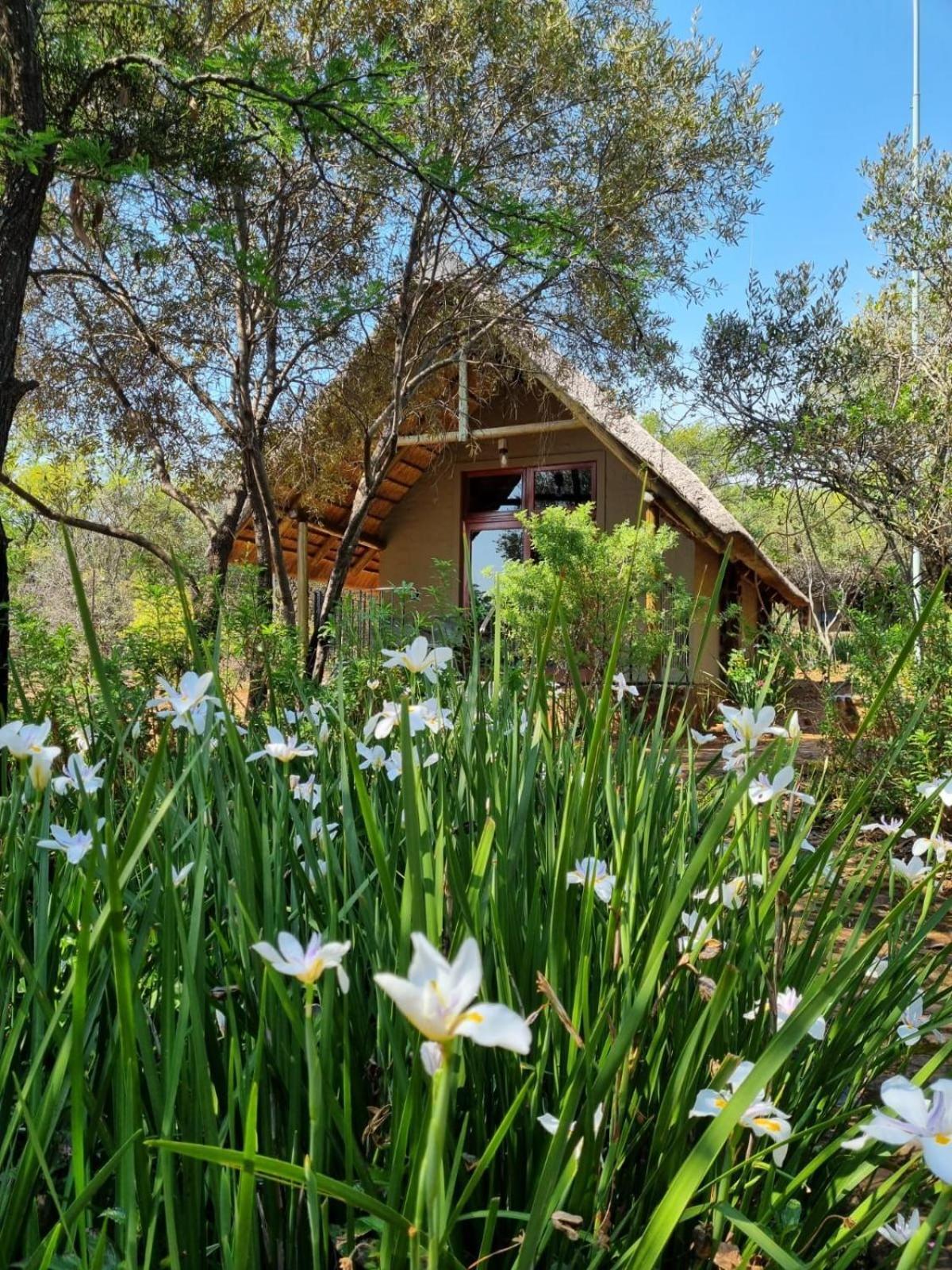 Tidimalo Lodge Rustenburg Kültér fotó