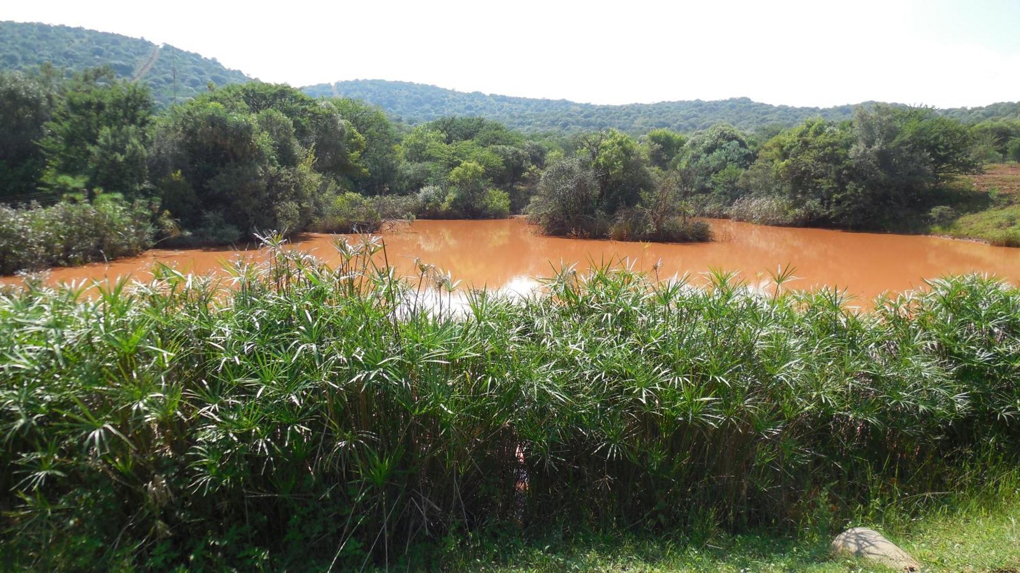 Tidimalo Lodge Rustenburg Kültér fotó